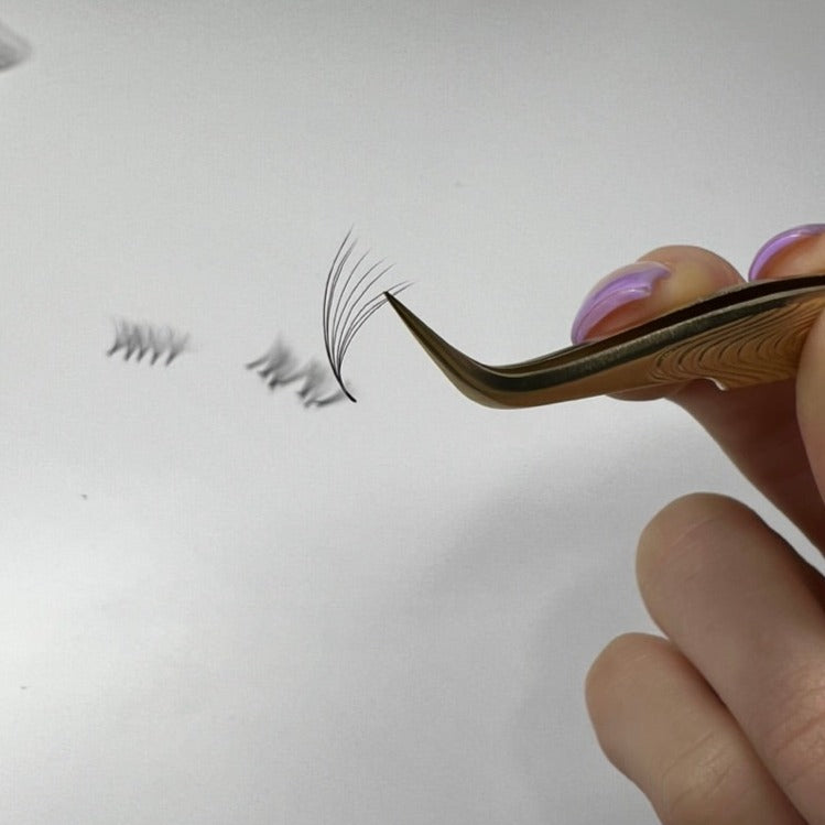 1,000 count - 10D Promade Lash Fans