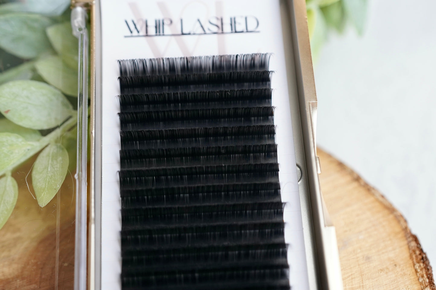 Volume Lash Trays
